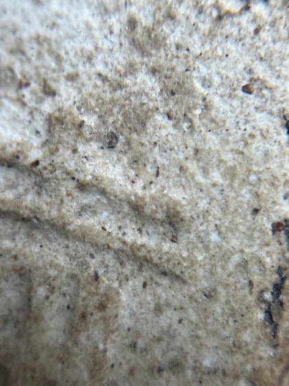 พระสมเด็จพิมพ์ใหญ่หลังอักษรจีน รูปที่ 13