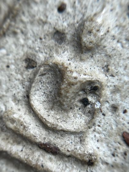 พระสมเด็จพิมพ์ใหญ่หลังอักษรจีน รูปที่ 5