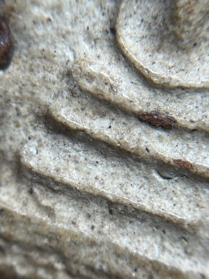 พระสมเด็จพิมพ์ใหญ่หลังอักษรจีน รูปที่ 6