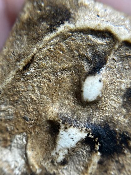 พระสมเด็จวัดระฆังพิมพ์ใหญ่ เก่าสวย รูปที่ 8