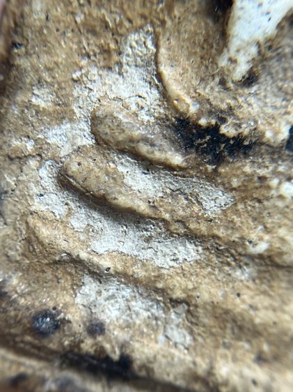 พระสมเด็จวัดระฆังพิมพ์ใหญ่ เก่าสวย รูปที่ 6