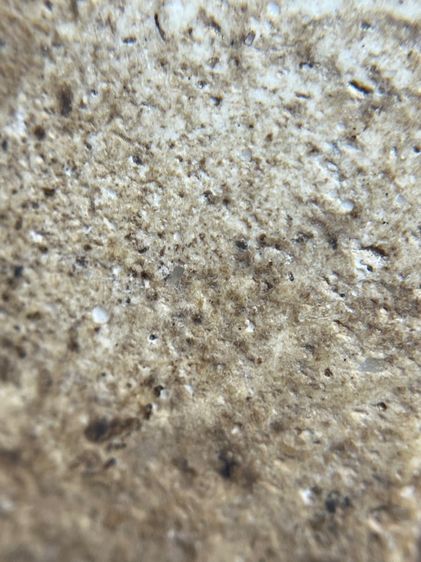 พระสมเด็จวัดระฆังพิมพ์ใหญ่ เก่าสวย รูปที่ 11