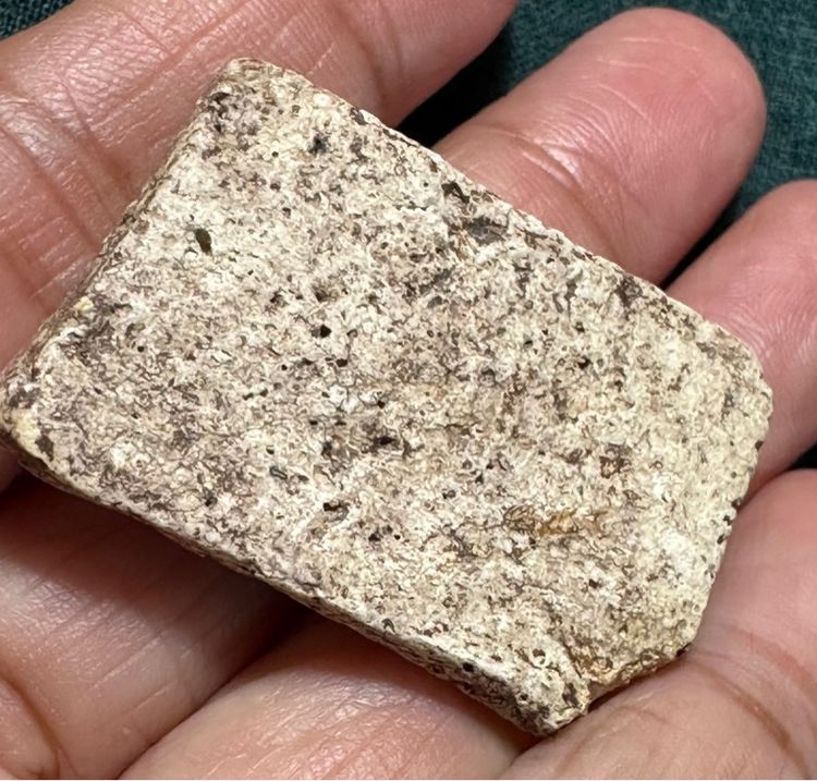 🙏พระสมเด็จพิมพ์ใหญ่ บางขุนพรหม🙏พระสมเด็จบางขุนพรหม พิมพ์สังฆาฏิ องค์ละ 1550 รูปที่ 15