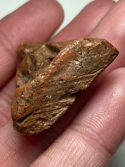 พระนางพญาเนื้อดิน รูปที่ 5