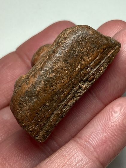 หลวงพ่อโตเนื้อดิน รูปที่ 5