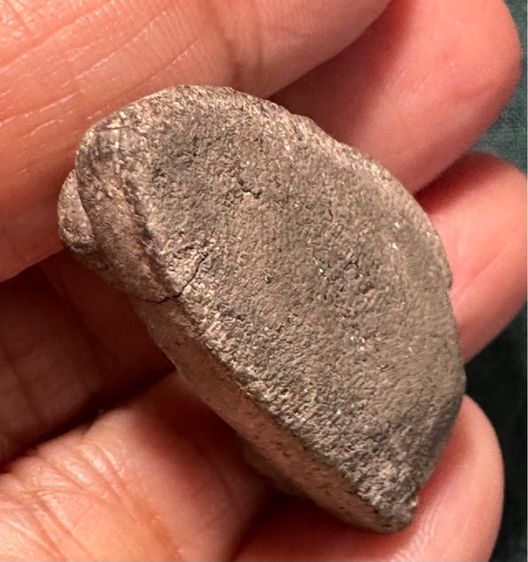 หลวงปู่ทวด เนื้อผงว่าน รูปที่ 6