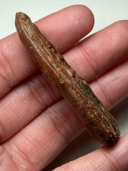 พระอินทร์ทรงช้างเอราวัณเนื้อดิน รูปที่ 3