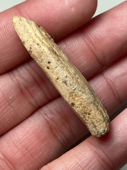 พระยืนเนื้อผงห้าเหลี่ยม รูปที่ 3