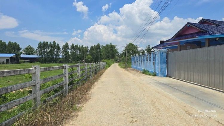 ใช่ ขายที่ดินพร้อมสิ่งปลูกสร้างฟาร์ม รูปที่ 3