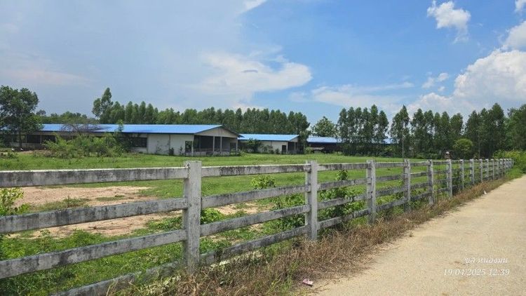 ใช่ ขายที่ดินพร้อมสิ่งปลูกสร้างฟาร์ม รูปที่ 2