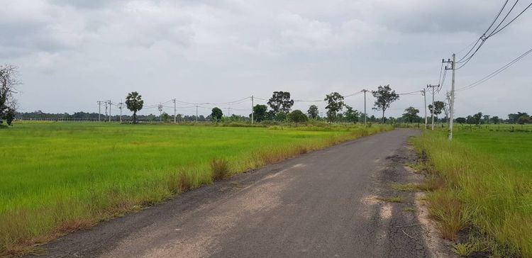 ใช่ ขายที่ดิน บุรีรัมย์ 44 ไร่  รูปที่ 3