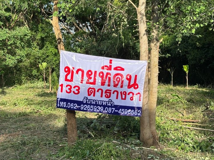 ขายที่ดิน 133 ตรว ขายตรวละ 11500 บาท ใกล้รพ ปักธงชัย ใกล้ตลาด มทส ไม่ไกลจากตัวเมืองโคราช ซื้อไว้อยู่อาศัย ทำบ้านเช่าหอพัก เหมาะมาก