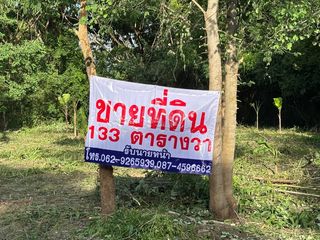 ขายที่ดิน 133 ตรว ขายตรวละ 11500 บาท ใกล้รพ ปักธงชัย ใกล้ตลาด มทส ไม่ไกลจากตัวเมืองโคราช ซื้อไว้อยู่อาศัย ทำบ้านเช่าหอพัก เหมาะมาก