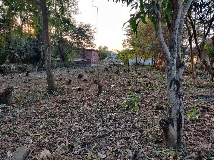 ขายที่ดินสวย ใกล้ทางหลวง ตำบลหนองบัว เมืองอุดรธานี รูปที่ 3