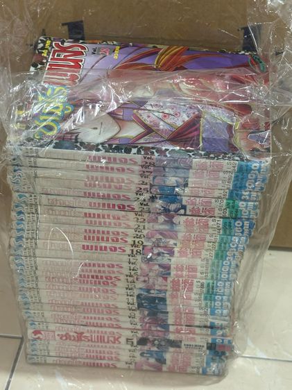 ซามูไรพเนจร 28 เล่มจบ รูปที่ 6