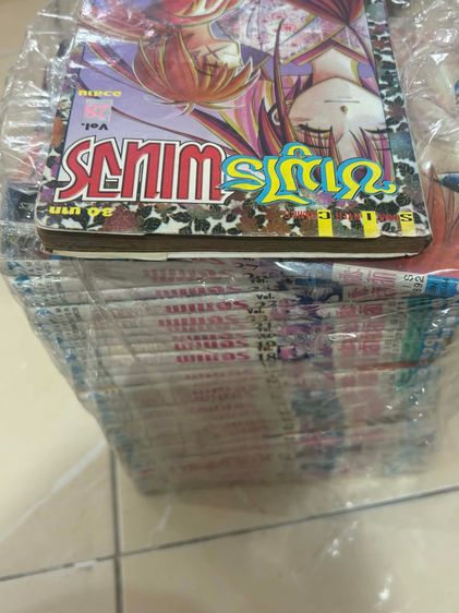 ซามูไรพเนจร 28 เล่มจบ รูปที่ 5