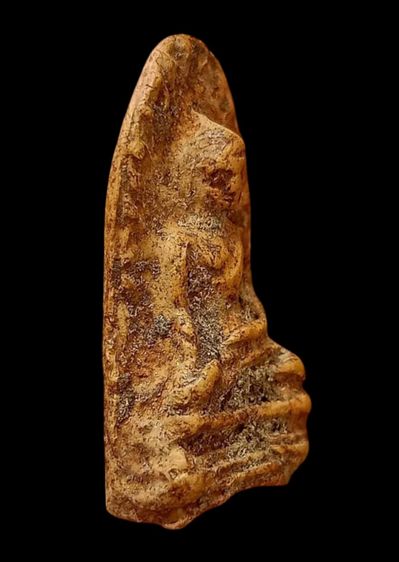 พระรอดลำพูน รูปที่ 3