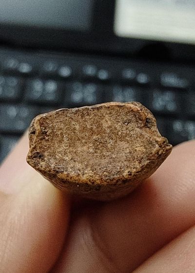 พระรอดลำพูน รูปที่ 13