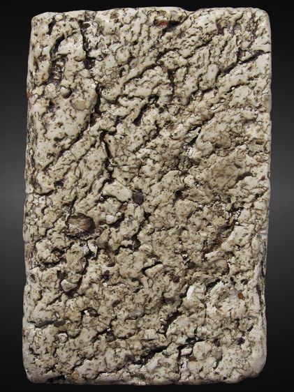 พระสมเด็จ วัดระฆัง พิมพ์ใหญ่เกศทะลุซุ้ม เนื้อแก่ปูนเปลือกหอย หลังโหดสุดๆ