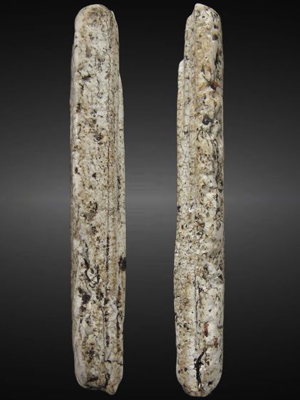 พระสมเด็จ วัดระฆัง พิมพ์ใหญ่เกศทะลุซุ้ม เนื้อแก่ปูนเปลือกหอย หลังโหดสุดๆ รูปที่ 4