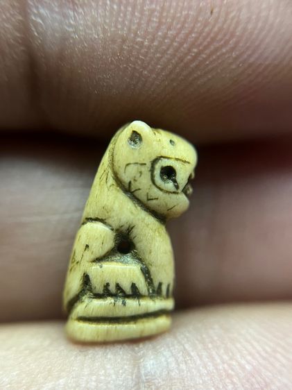 เสือ (มีสินค้าหลายรายการกดเข้ามาดูในโปรไฟล์ได้เลยครับ)