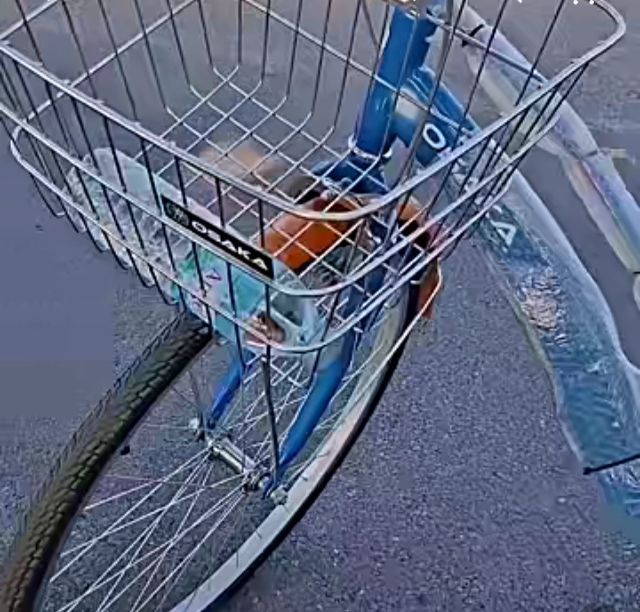 จักรยานแม่บ้าน รูปที่ 6