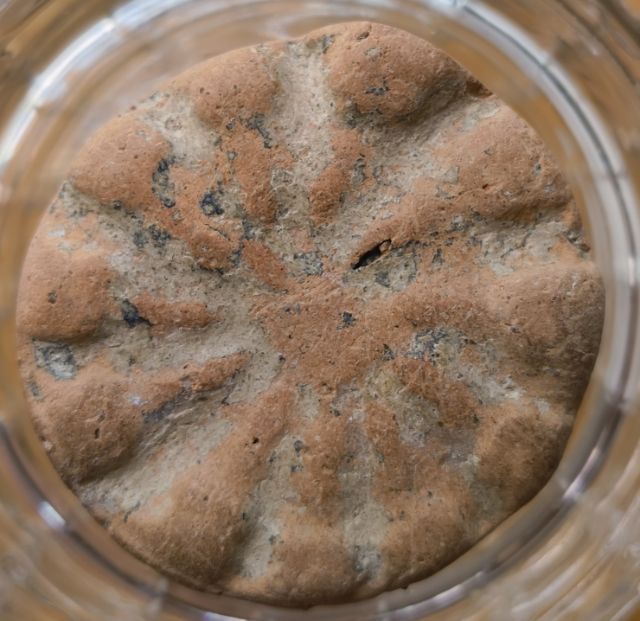 พระเกจิพิมพ์พระร่วงยืนเนื้อเก่าค่ะ รูปที่ 3