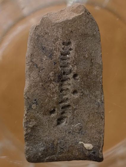 พระเกจิพิมพ์พระร่วงยืนเนื้อเก่าค่ะ รูปที่ 10