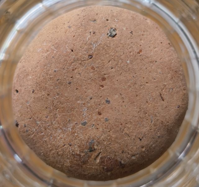 พระเกจิพิมพ์พระร่วงยืนเนื้อเก่าค่ะ รูปที่ 4