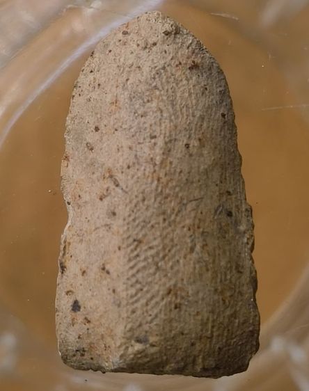 พระเกจิเนื้อผงเก่าค่ะ รูปที่ 8