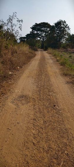ที่ดินบ้านห้วยยางโทน อ.ปากท่อราชบุรี ขายที่ดิน 41-1-52 (41.38 ไร่) รูปที่ 2