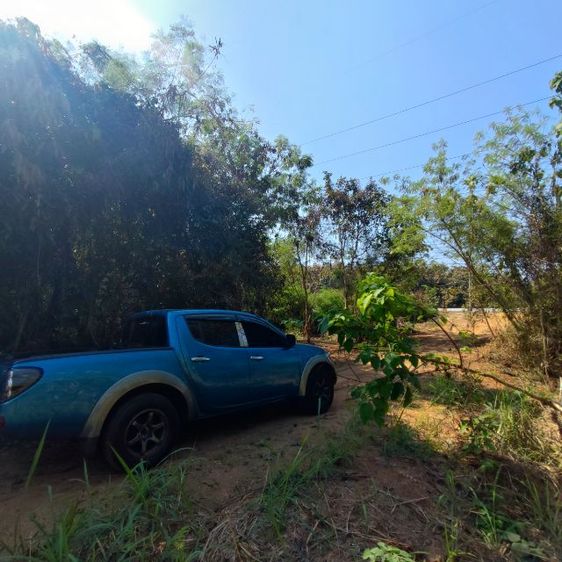 ใช่ ขายที่ดิน 11 ไร่ ติดถนนใหญ่ 201 (เลย-เชียงคาน) รูปที่ 3