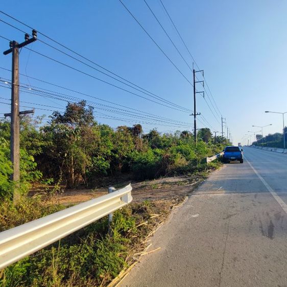 ใช่ ขายที่ดิน 11 ไร่ ติดถนนใหญ่ 201 (เลย-เชียงคาน) รูปที่ 2