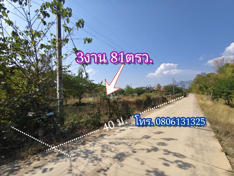 ที่ดินเปล่า 3งาน 81ตารางวา อำเภอเมือง เพชรบูรณ์ งานละ 125,984ถ้วน พูดคุยต่อรองได้ รูปที่ 3