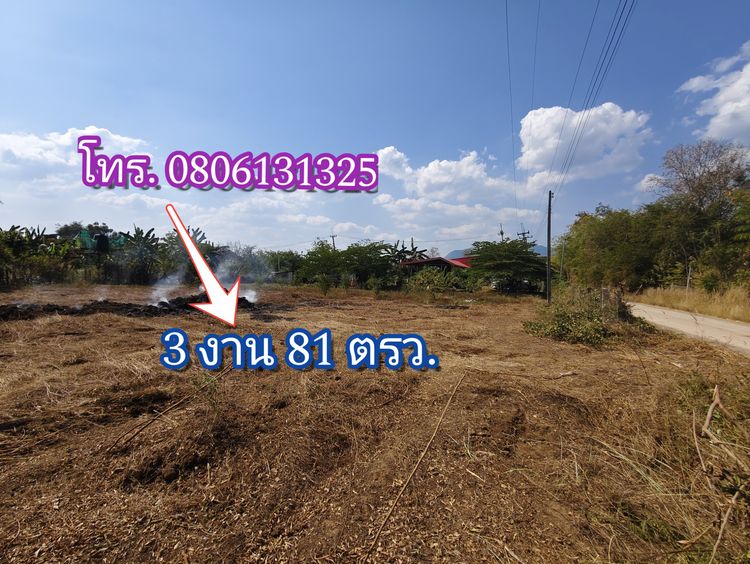 ที่ดินเปล่า 3งาน 81ตารางวา อำเภอเมือง เพชรบูรณ์ งานละ 125,984ถ้วน พูดคุยต่อรองได้
