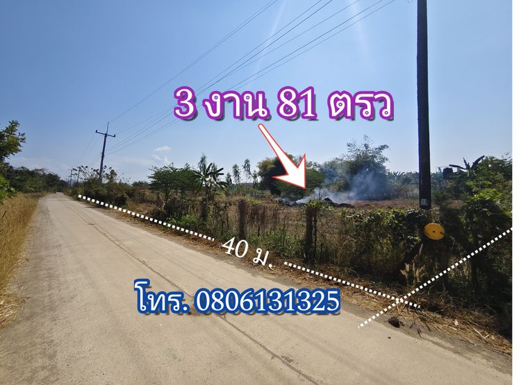 ที่ดินเปล่า 3งาน 81ตารางวา อำเภอเมือง เพชรบูรณ์ งานละ 125,984ถ้วน พูดคุยต่อรองได้ รูปที่ 4