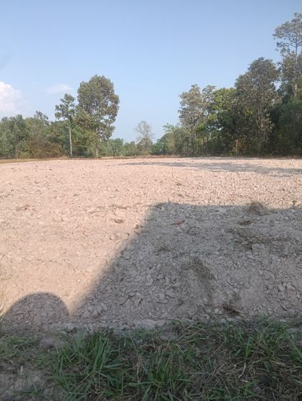 ขายที่ดินโฉนดแปลงสวย รูปที่ 4