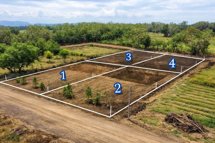 ที่ดินเปล่าอำเภอเมืองเพชรบูร์ สดได้ ผ่อนได้ เหมาะสร้างบ้าน ทำสวน วิวภูเขาธรรมชาติเดอนทางสะดวกใกล้เมือง รูปที่ 2