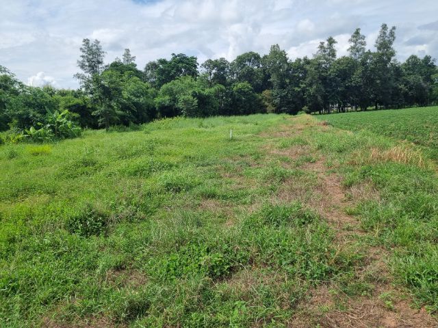 ขายที่ดิน125ตรว.แถวท่าพระ เมืองขอนแก่นมีเพื่อนบ้าน