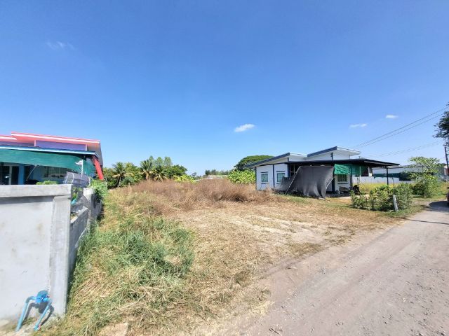 ใช่ 💥ขายที่ดิน100ตรว.ใกล้ตลาดบ้านหนองแวงท่าพระ เมืองขอนแก่น รูปที่ 4