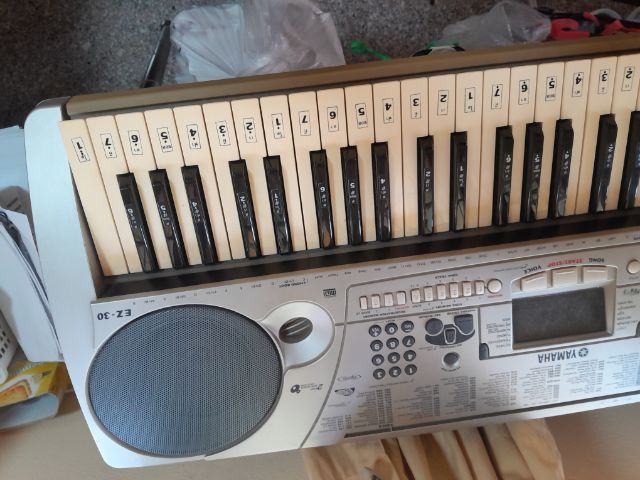 Electone รูปที่ 2