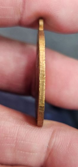 เหรียญหลวงปู่ใข่วัดเชิงเลน รูปที่ 7