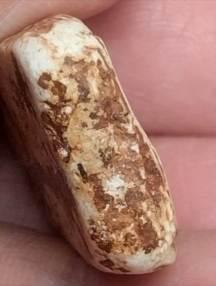 สมเด็จวัดระฆังพิมพ์ทรงเจดีย์องค์น้ำหมากให้ภาพบรรยายเนื้อหา รูปที่ 5