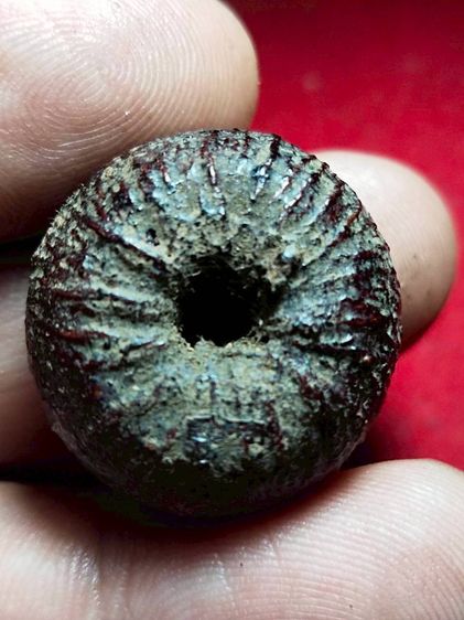 ตะกรุดพิศมรรักแดง รูปที่ 2