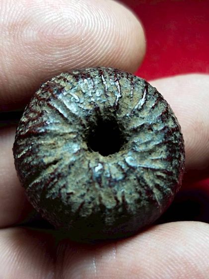 ตะกรุดพิศมรรักแดง