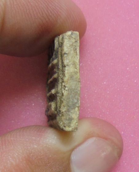 พระสมเด็จหัก ไม่ทราบที่ รูปที่ 4