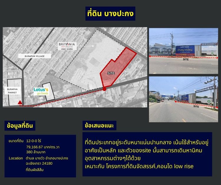 ที่ดินศักยภาพ แถวบางปะกง