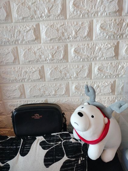 Coach Mini Jamie Camera Bag รูปที่ 3