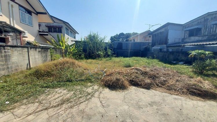 ใช่ ขายที่ดินซอยยัวซ่า(เทศบาลบางปู55) รูปที่ 2