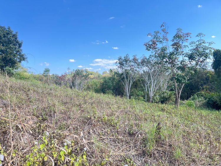 ð āļāļĩāđāļāļīāļāđāļāļ·āđāļāļāļēāļĢāļĨāļāļāļļāļ āļāļģāđāļĨāļāđāļāļāđāļāļĩāđāļĒāļ§ āļāļāļāļāļēāļ āļđāļĄāļī āļĢāļđāļāļāļĩāđ 2